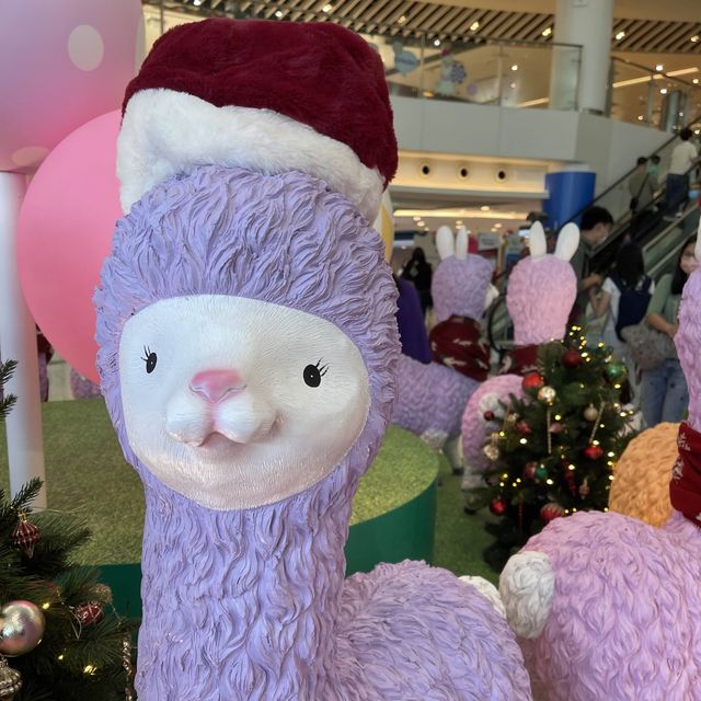 聖誕節🎄快到啦～～