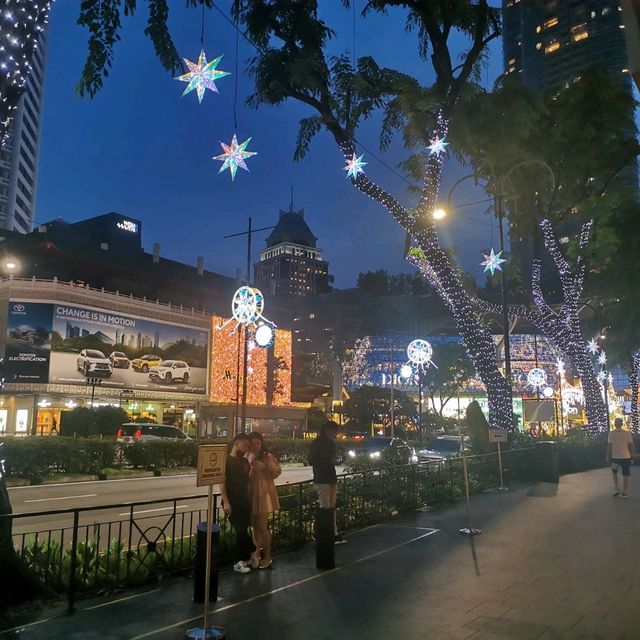 annual Xmas light up at Orchard Rd
