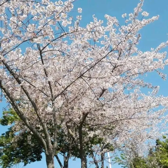 福壽山農場