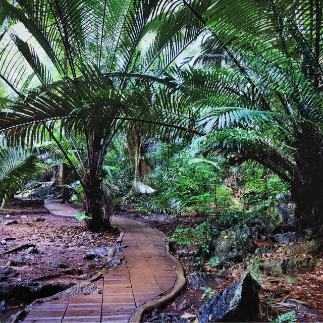 Unseen ❗️หุบป่าตาด ป่าดึกดำบรรพ์ 🦕เมืองอุทัย 🦇