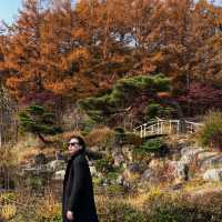 Seoul’s Instagrammable Spots! 