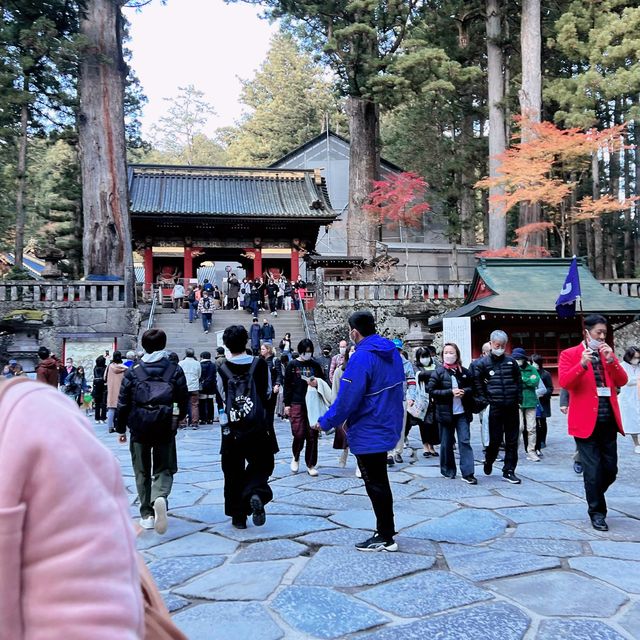 ศาลเจ้านิกโก้โทโชกุ⛩️