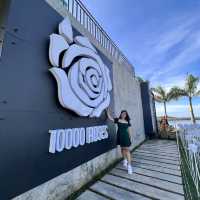 10,000 Roses Cafe Cebu Philippines