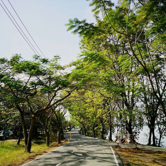 ศูนย์กีฬาทางน้ำ บึงหนองบอน