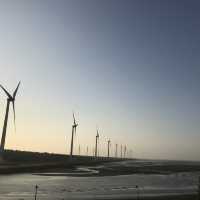 Amazing wind farm at Wetlands 