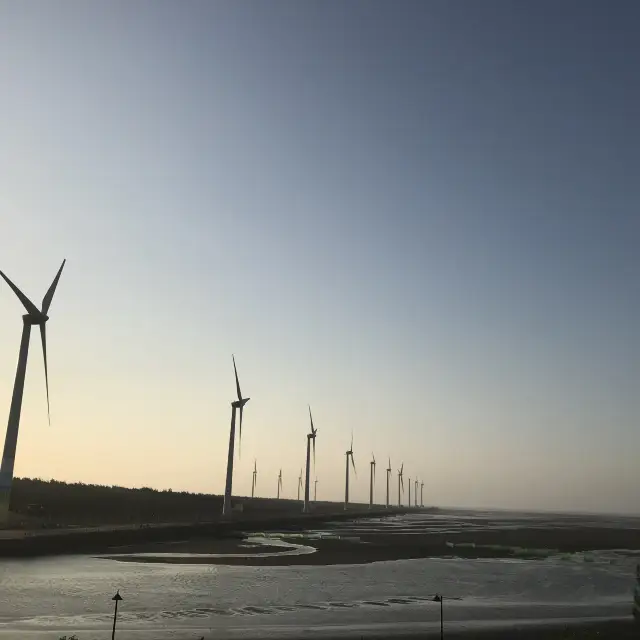 Amazing wind farm at Wetlands 