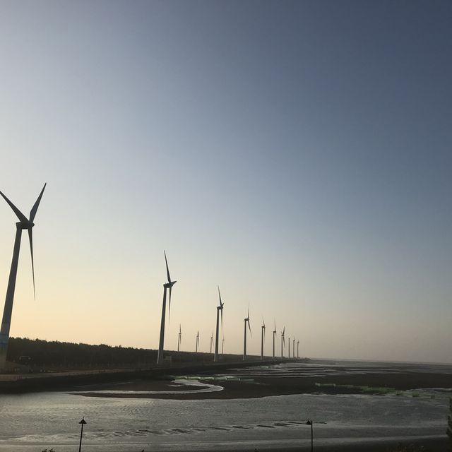 Amazing wind farm at Wetlands 