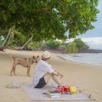 Lazy Day the Resort, Koh Mak ที่พักฟิลบาหลี