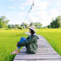 ทุ่งนา สะพานไม้ ใบเสมาหินโบราณ เต่างอย สกลนคร