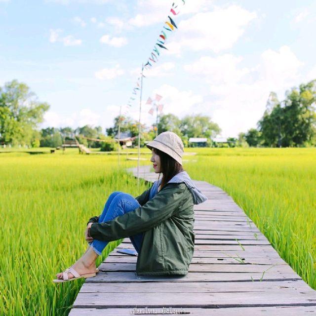 ทุ่งนา สะพานไม้ ใบเสมาหินโบราณ เต่างอย สกลนคร