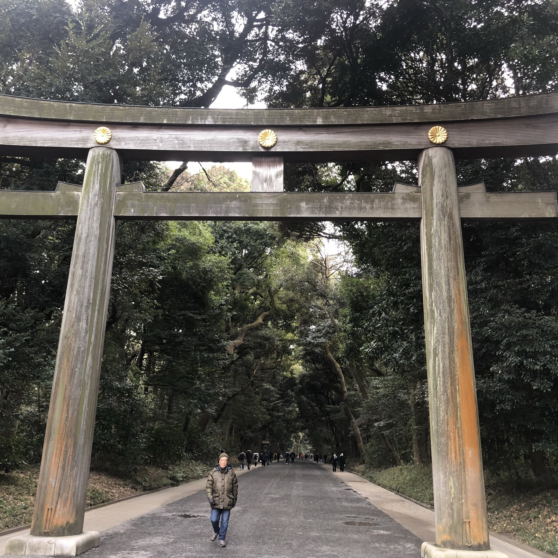 明治神宮景點評論 明治神宮門票 明治神宮優惠 明治神宮交通 地址 開放時間 明治神宮附近景點 飯店與美食 Trip Com