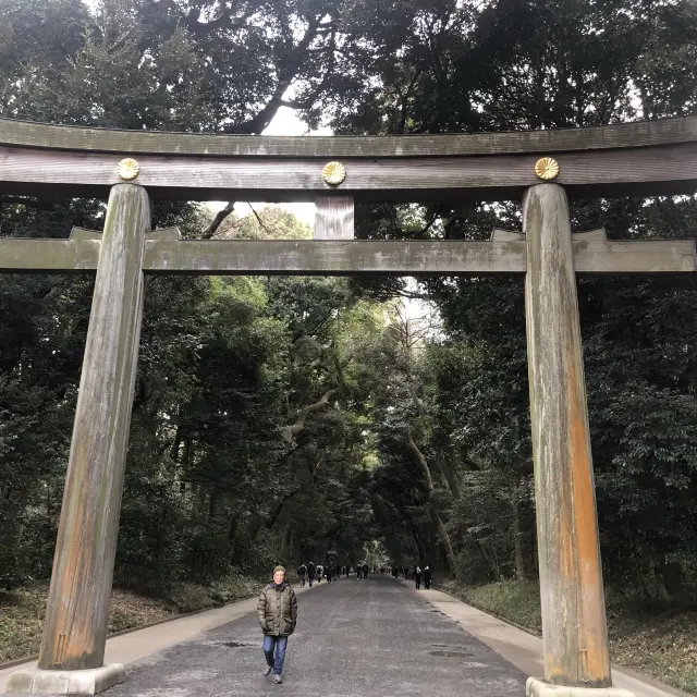 都市心靈綠洲「明治神宮」見證「神前式」婚禮