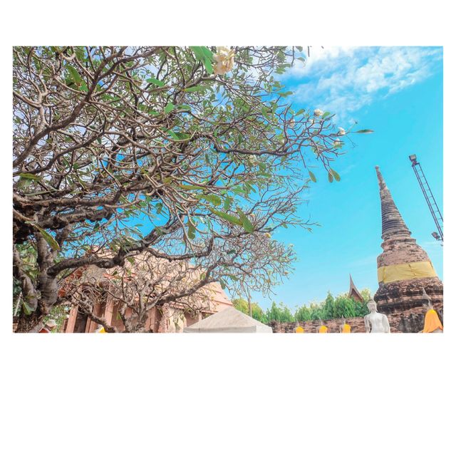 ปู่ย่าพาไหว้พระ ณ วัดใหญ่ชัยมงคล อยุธยา