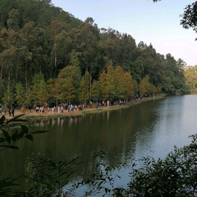 流水響至鶴藪鳳園山遊樂