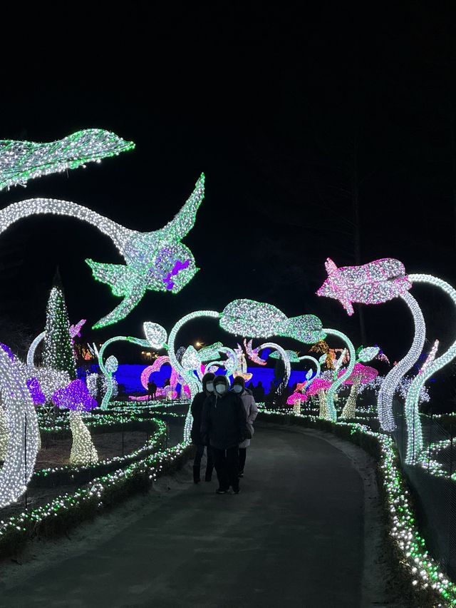 가평 오색별빛정원전 :: 아침고요수목원