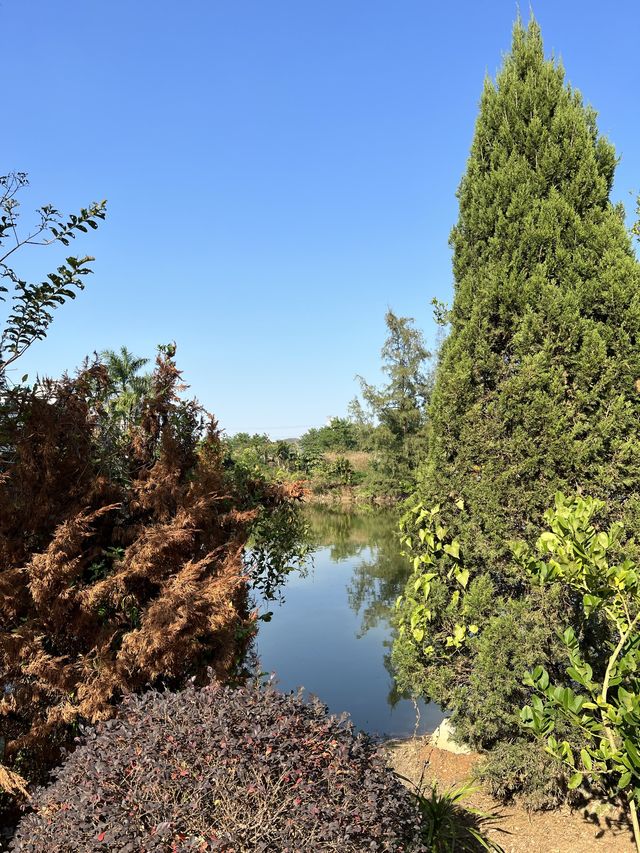 何時·河地🏞 香港遠離塵囂的風景 📍上水