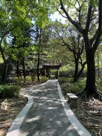 荔枝角公園放電 影相打卡 好去處🥰