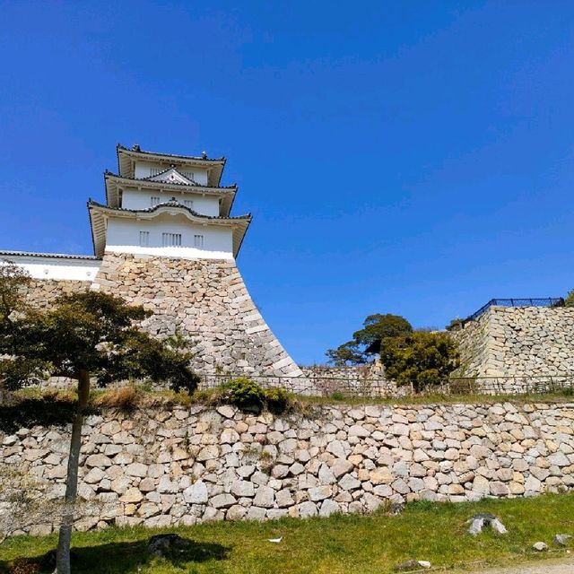 【兵庫 明石城跡】美しき城跡と桜の撮影スポット🌸🌸🌸