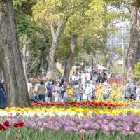 春の横浜公園の散策