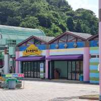 광주 패밀리랜드