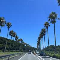 【千葉】館山へドライブ🚘 みなとオアシス「渚の駅」