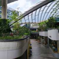 Mall and Park Concept 
