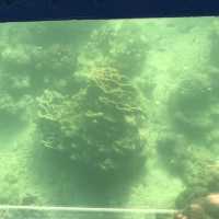 海下灣海洋生物中心