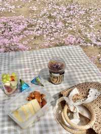 핑크빛 꽃밭에서 피크닉 어때요💖🌸