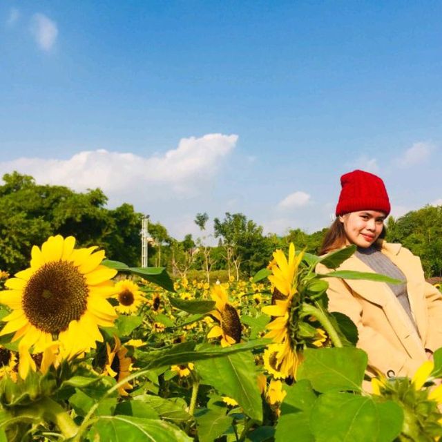 Flower Valley Tay Ho