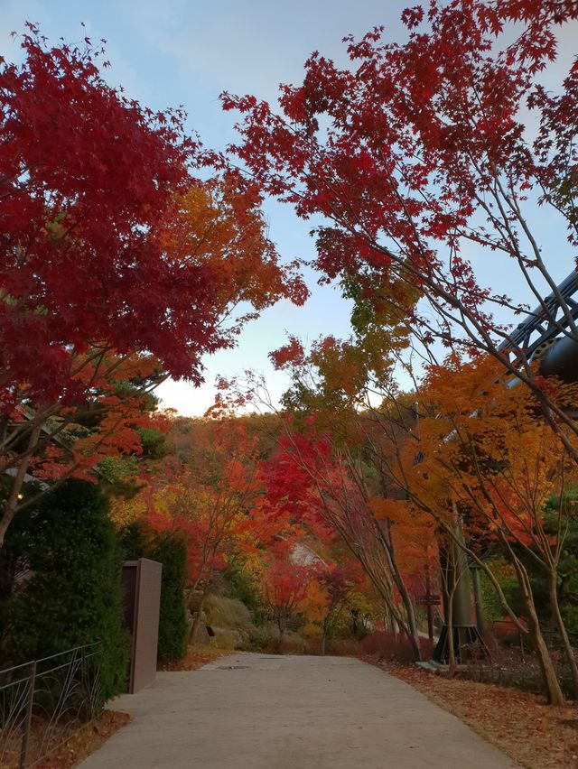 10월 핫플 여행지::화담숲🍁