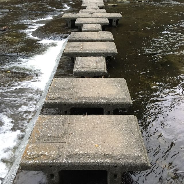 養老渓谷