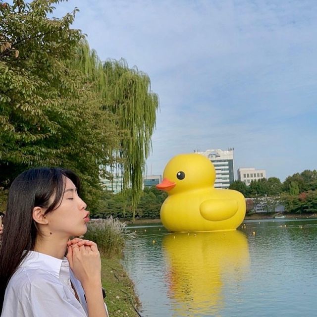 8년만에 석촌호수에 나타난 러버덕🐥 :주차꿀팁✨