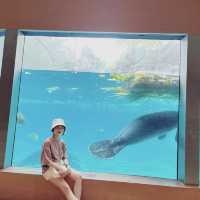 Safari World Thailand