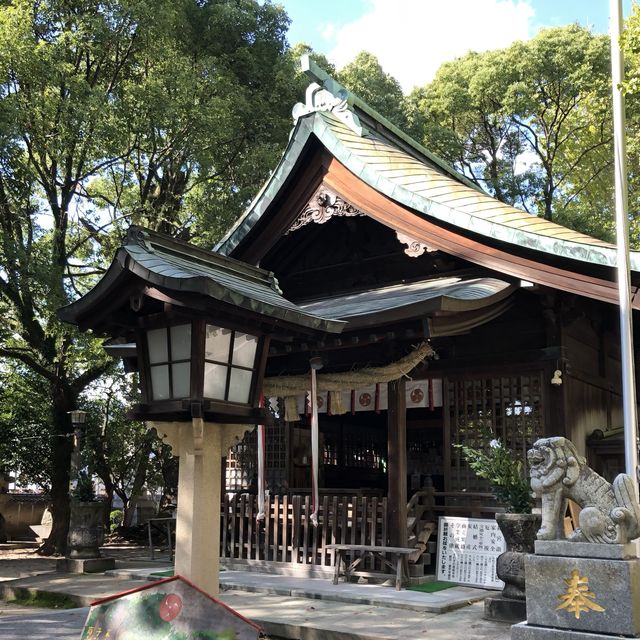 【福岡】御神木の公孫樹が見応えあります