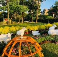 風光明媚🪷🌤Daan Forest Park 大安森林公園