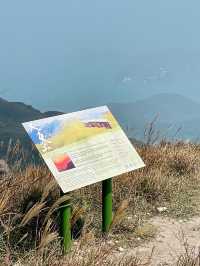 行山遊記 大東山芒草打卡之初體驗