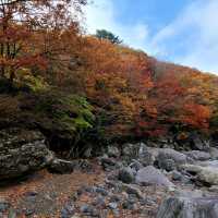 한라산 아래 제주 단풍 명소 <천아계곡>