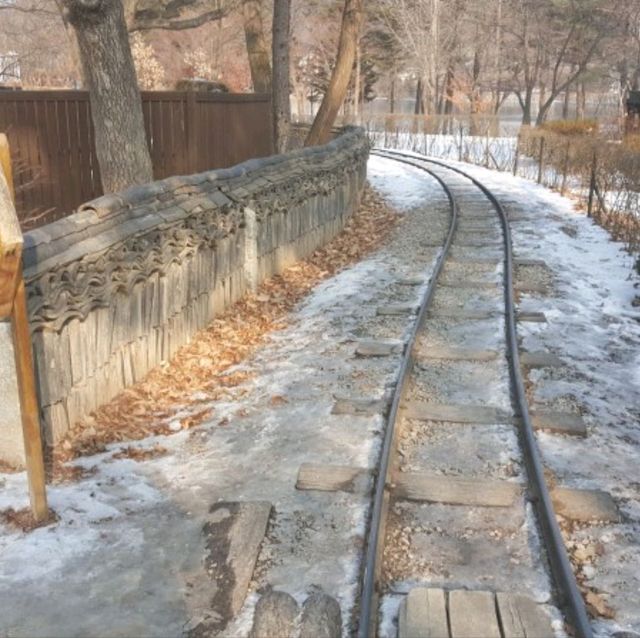 겨울을 맞이하는 남이섬은 어떤 모습일까요