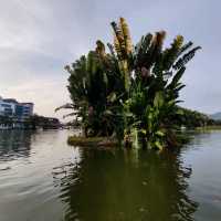 Riding Paddle Boat in Taiping Lake Gardens