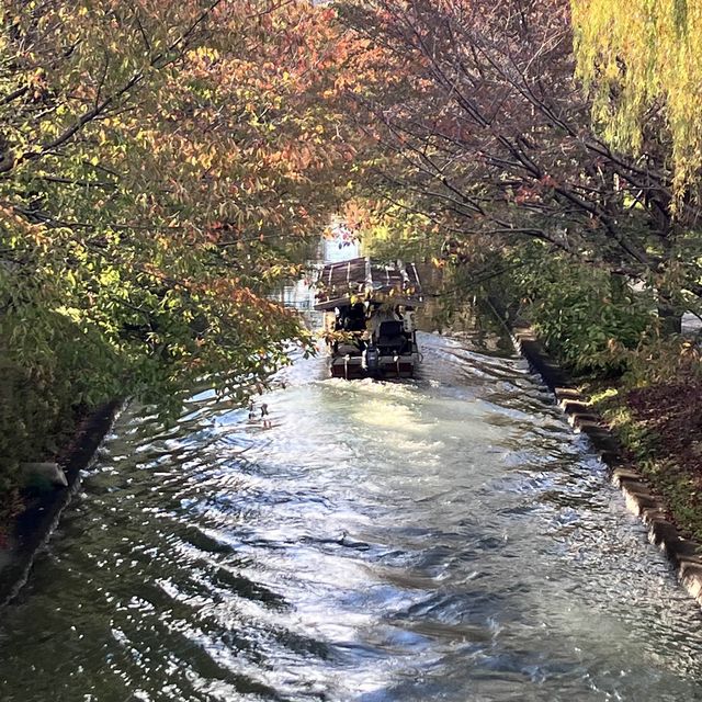 【京都】伏見の街並みを船から