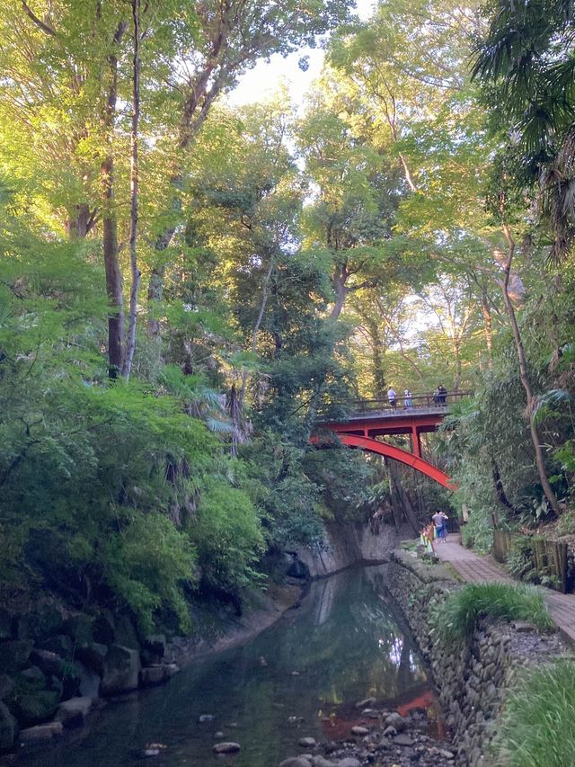 도심속 산과 계곡-도쿄 토도로키 계곡🌳