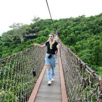 Tropical paradise forest  #Sanya 