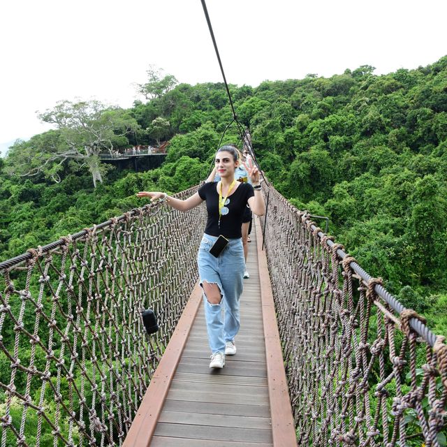Tropical paradise forest  #Sanya 