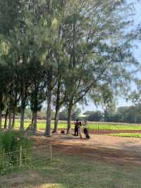 Jim Thompson Farm