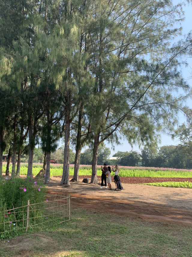 Jim Thompson Farm
