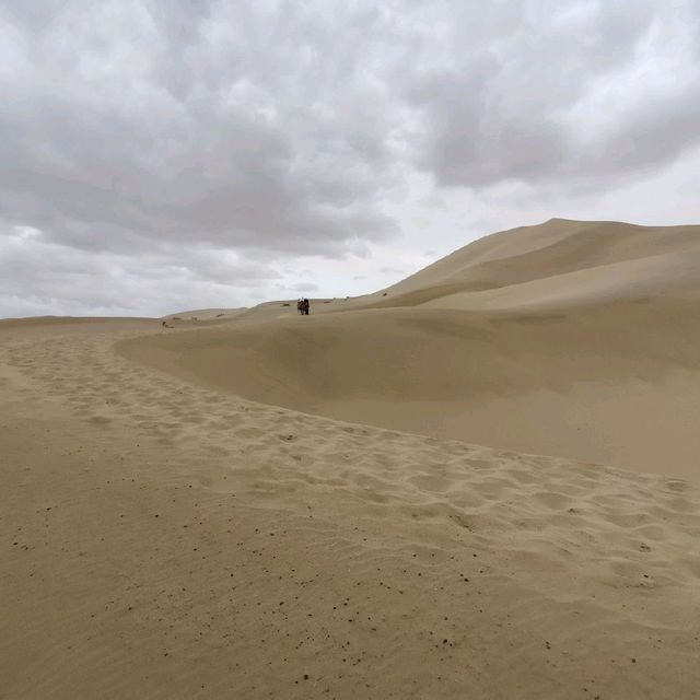 Camel ride in the desert