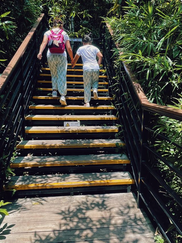 Rope Bridge Thrill in Yalong Bay 🌁🪢🏞