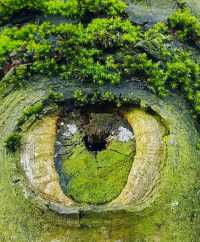 Heart-shaped cliff + Eye of God + Cave