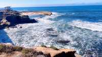 San Diego must-visit.