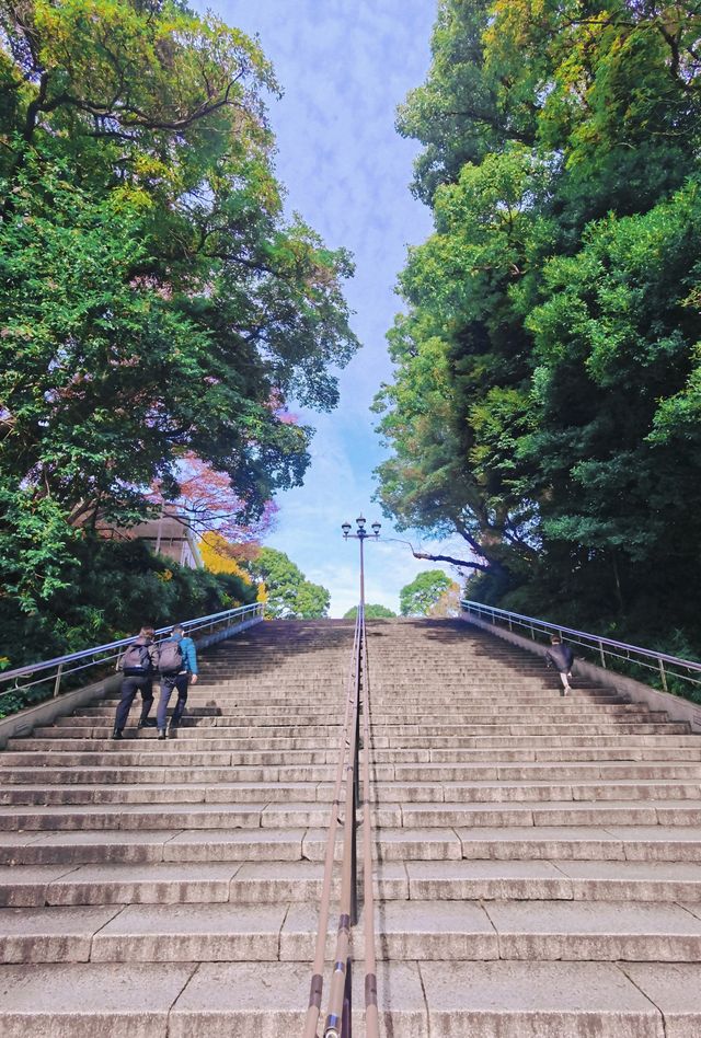 Recommend everyone to try a new way of experiencing Tokyo - living in two countries, eating grilled meat on rice, and experiencing sumo culture.